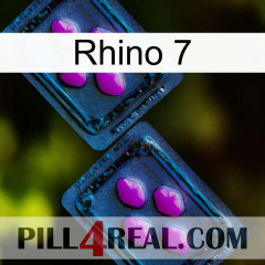 Rhino 7 03